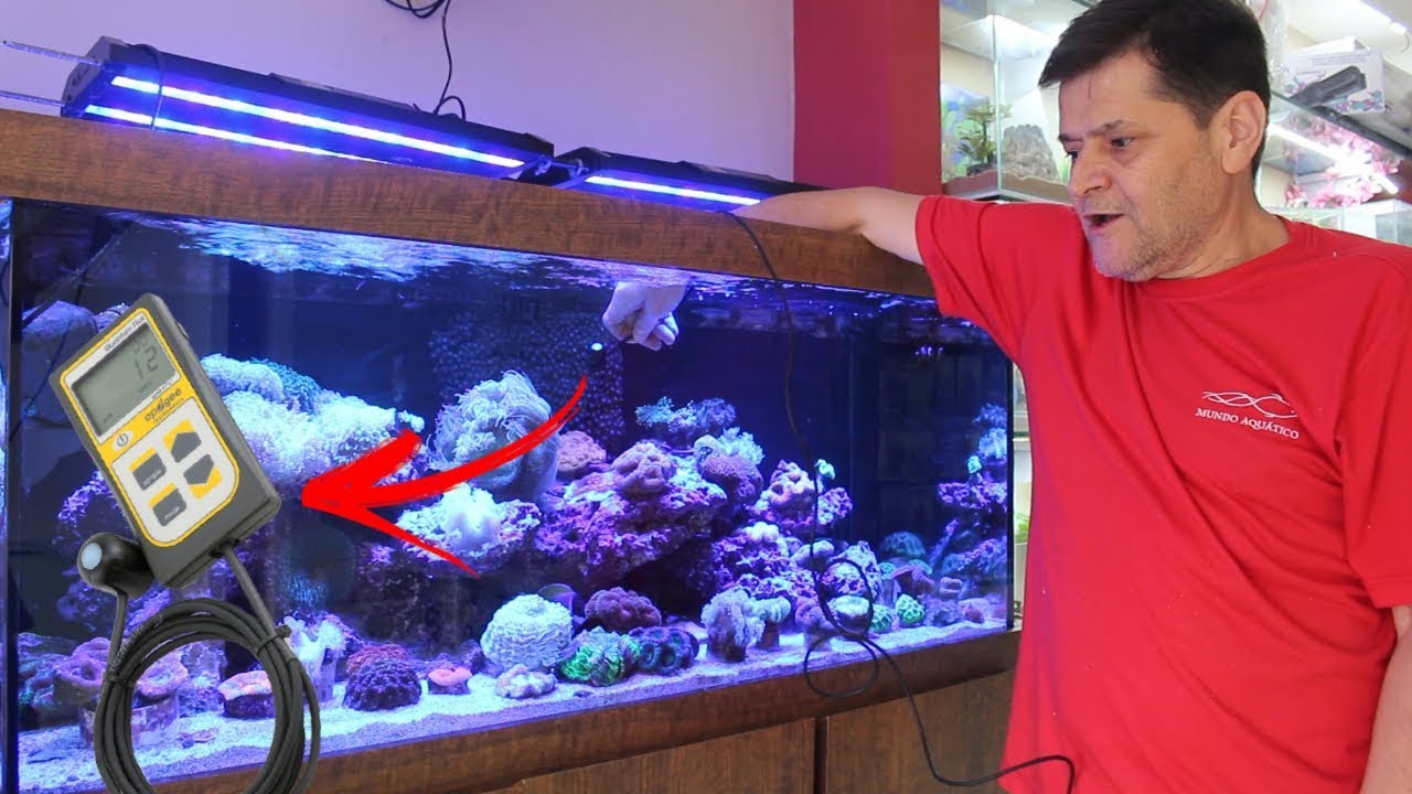 Dicas: Iluminação com Led - Com Valdir Citolino