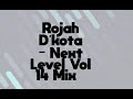 Rojah dkota  next level vol 14 mix