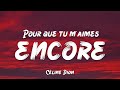 Céline Dion - Pour que tu m'aimes encore (Lyrics)