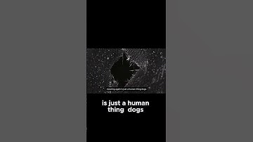 The Illusion of Meaning in the Universe