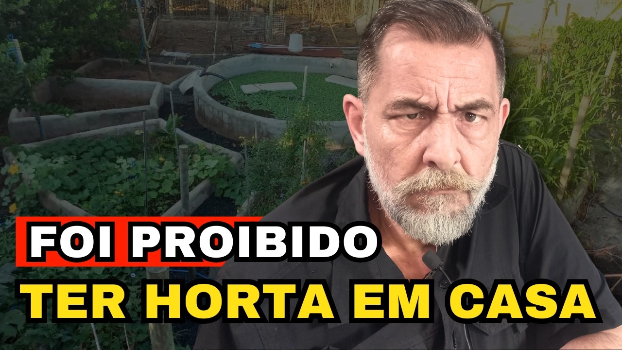 ALERTA: FEM VAI PROIBIR PLANTAR COMIDA EM CASA | A VERDADE