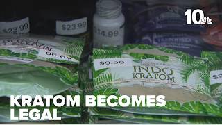 Celebrity Kratom becomes legal in Rhode Island Profile