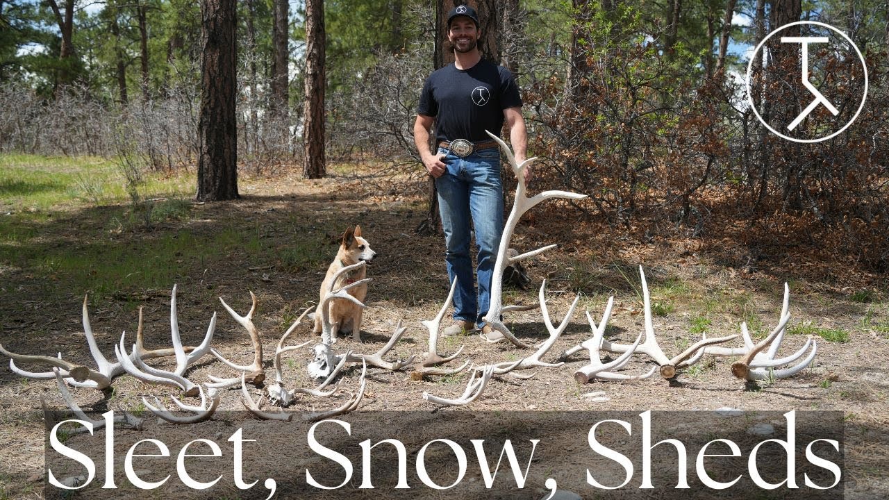 SLEET, SNOW, SHEDS | Shed Antler Hunting | 4K