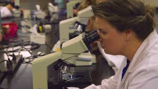 Become A Vet Tech In As Little As 24 Months