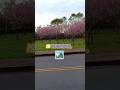 good and bad day's #motivation #travel #viralvideo #viralshorts