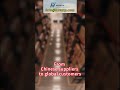 Your Products, Sell Everywhere with EaseFrom Chinese suppliers to global customers—we handle it all