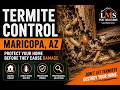 Termite Control Maricopa AZ | Protecting Homes from Subterranean Termites