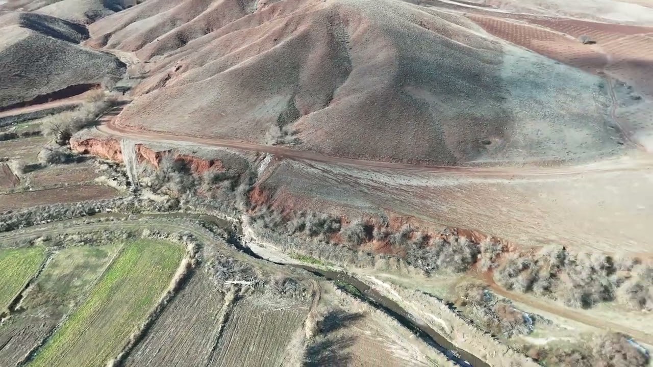 Sulusaray Kasabası Drone Destekli Domuz Avı