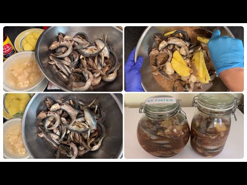วีดีโอ: วิธีการหมักปลาซาร์ดีน