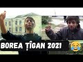 BOREA TIGAN 2021