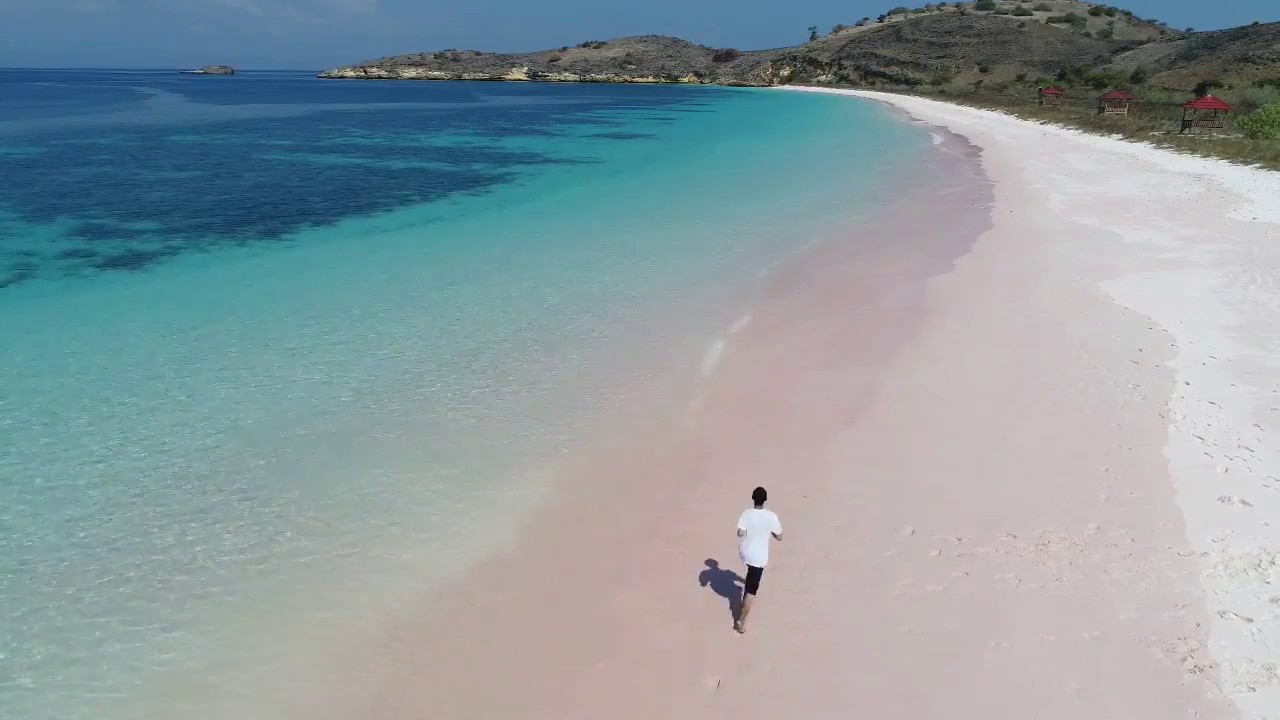 WOW indahnya Pantai  Pink  di Kab Bima  yang belum terjamah 