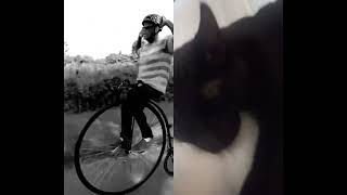 U SAID IT #pennyfarthing #doowop50s60s #unicycling #oldies #fun #trikes #musicalentertainment #happy