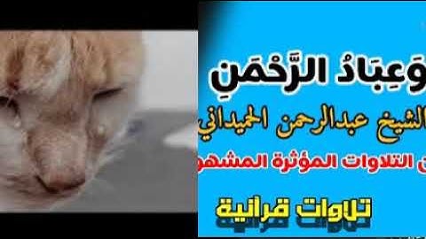 تلاوات قرانيه الشيخ ( عبدالرحمن الحميداني) وعباد الرحمن