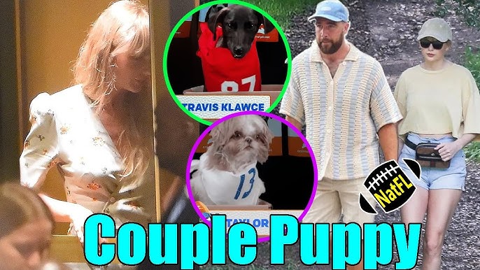 So peaceful! Travis Kelce and Taylor Swift Walk Their new Cute Puppy in Florida Full video at the comment 👇👇👇-tuan