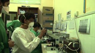 New TB Vaccine