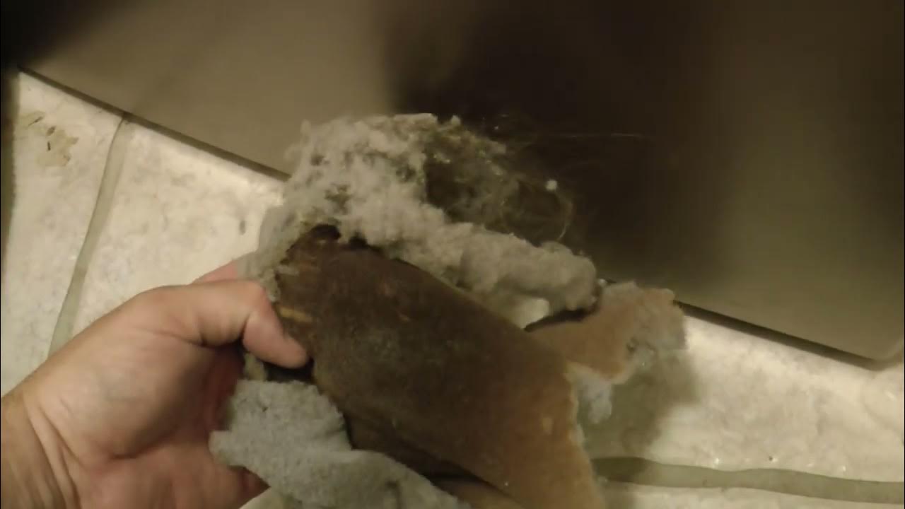 Kenmore Elite Dryer Disassembly and Cleaning Lint Removal YouTube