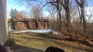 Holiday Hugs To Aunt Carol