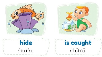 connect plus 4 | unit 2 lesson 4