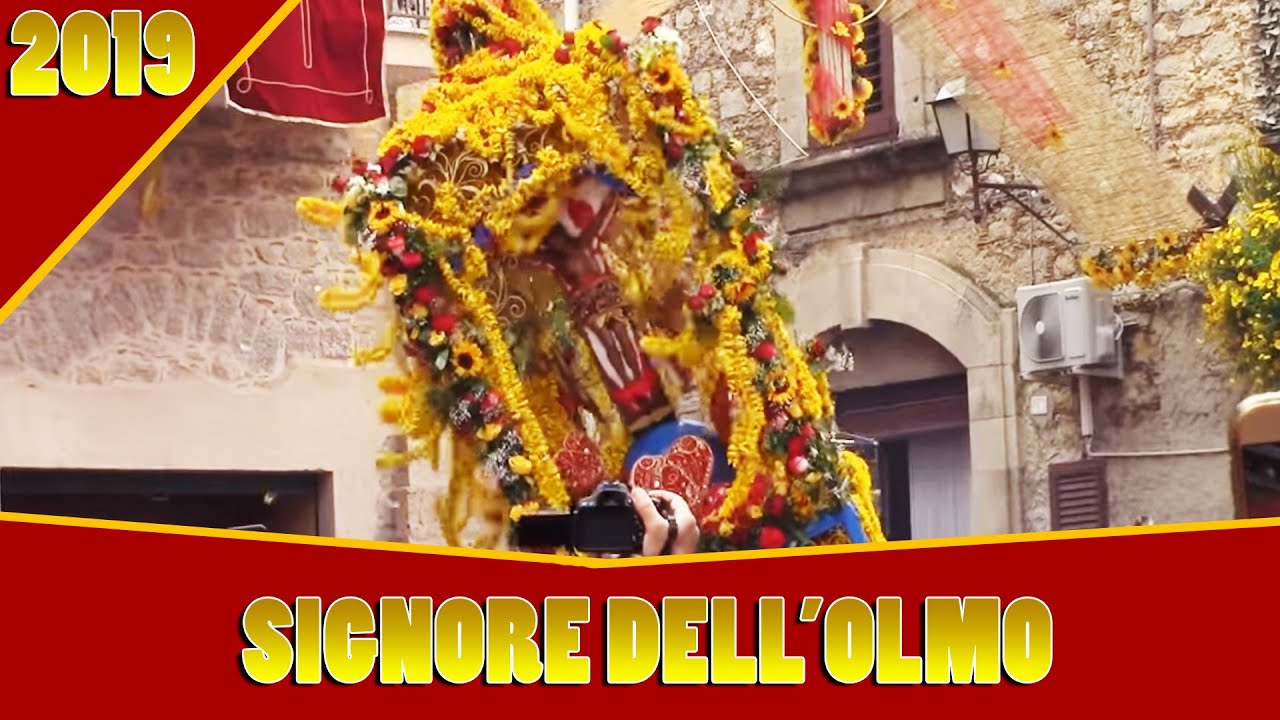 Signore dell'Olmo 2019✴Mazzarino