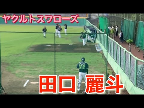 ヤクルトスワローズ　田口 麗斗
