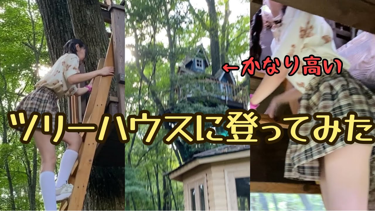 ツリーハウスに登ってみた