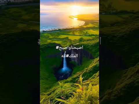 اللهم بك اصبحنا وعليك توكلنا