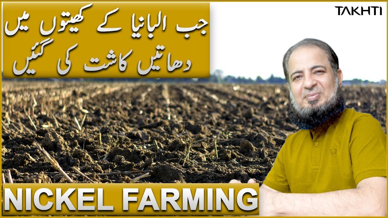 Nickel Farming | اردو | हिन्दी