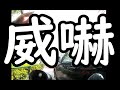 黒人連れの女が調子に乗って威嚇してきたのでスポ喧の依頼