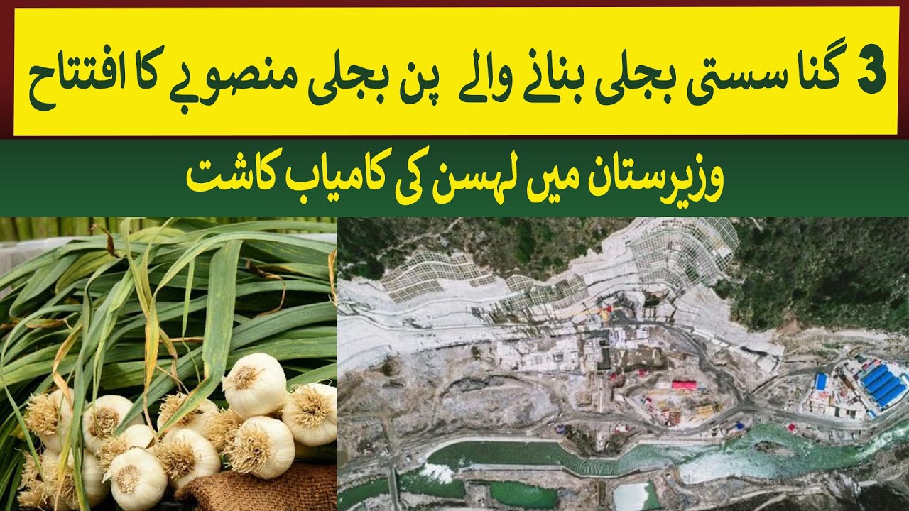 Hydropower project producing  3 times cheaper electricity inaugurated .| Rich Pakistan