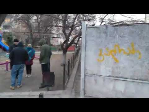 live: რა ხდება რეალურად ანას ბაღში