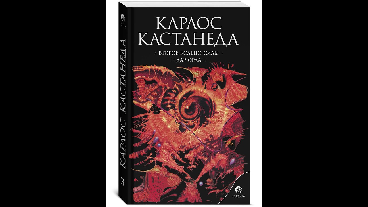 Второе  кольцо  силы.  2 глава:  Сестрички - 1 часть.