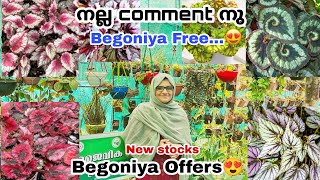 നലല Comment ന Begoniya Free..begoniya Offers...