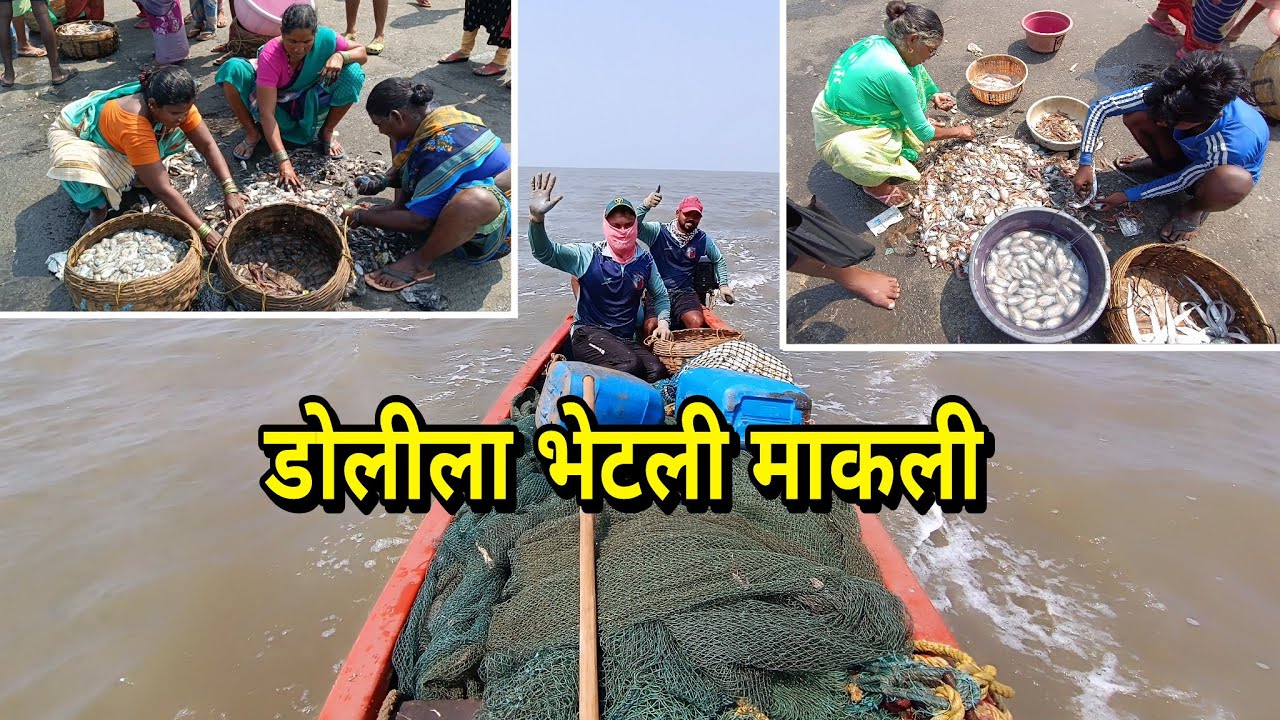 पारंपारिक पद्धतीने हातावर डोली खेचून केली माकळीची मासेमारी. squid fishing. Mumbai Indian fishing