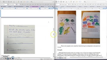 Assessment Report Writing