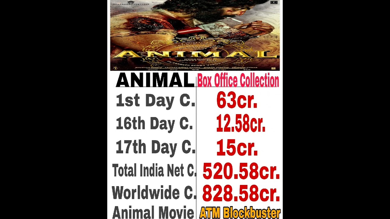 Animal 17th Day Box Office Collection | Animal Worldwide Collection | Animal Collection Updates