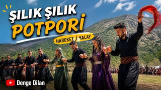 Şilik Şilik Potpori̇ Halay (Denge Dilan Rock Cover)