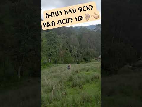 قران كريم راحه نفسيه استمع والاجر لي ولك انشاءالله صدقه جاريه لجميع اموات المسلمين