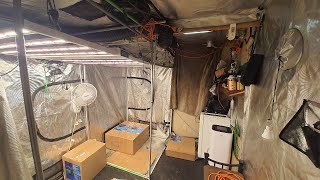 GROW SHOW . 420 Sunday.  Lets get 🥳 live products and gardens