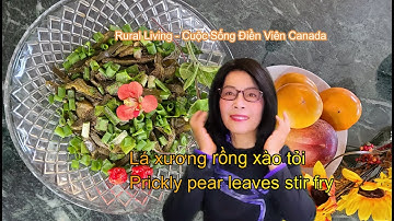 Nopal Cactus stir fry | Lá xương rồng xào tỏi | Rural Living - Cuộc Sống Điền Viên Canada | #7