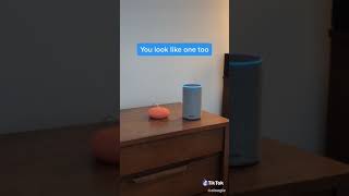 Alexa talk