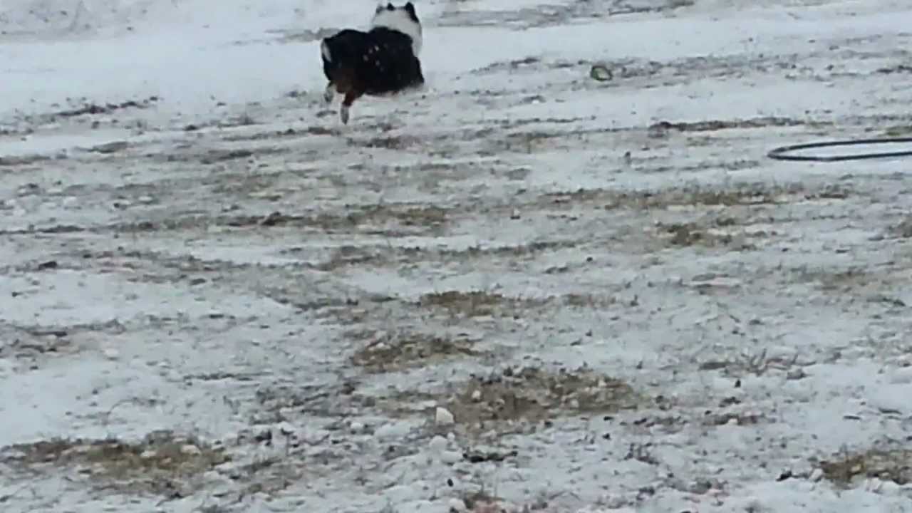 Питч энд гоу - YouTube