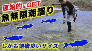 【#3】魚が大量にいる潮溜り発見！原始的な方法でゲットせよ！【秒速したくサバイバル】
