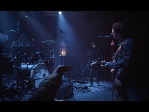 FIGURZ - June - Live Session