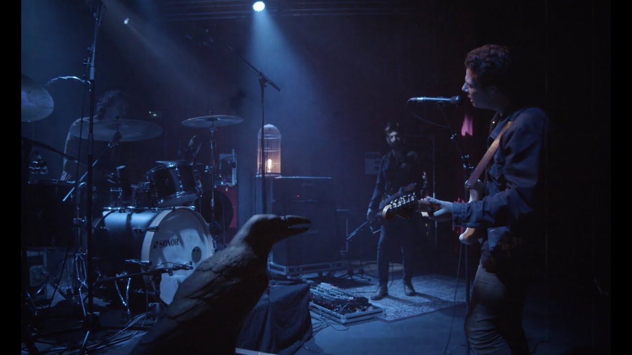 FIGURZ - June - Live Session