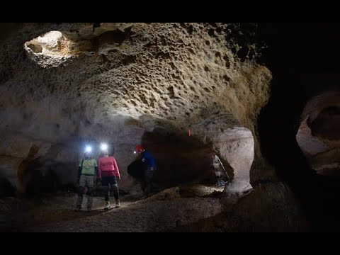 Innovative Mitigation Preserves Cave Habitat
