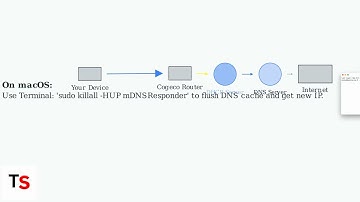 How to Fix Cogeco Internet Keeps Cutting Out/Dropping/Going Down – Full Guide