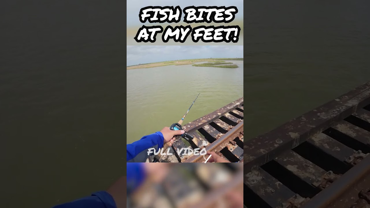 Fish bites at my feet! 