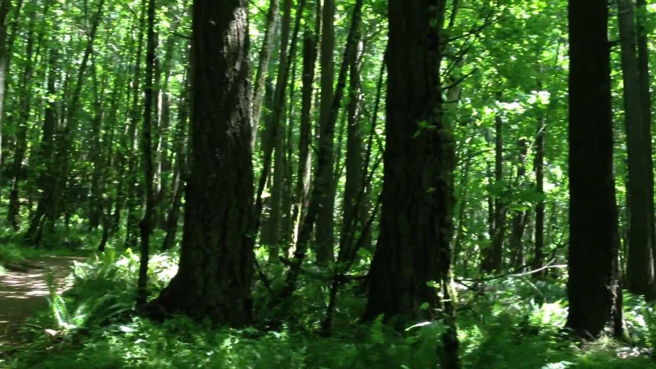 Spencer's Butte Trail