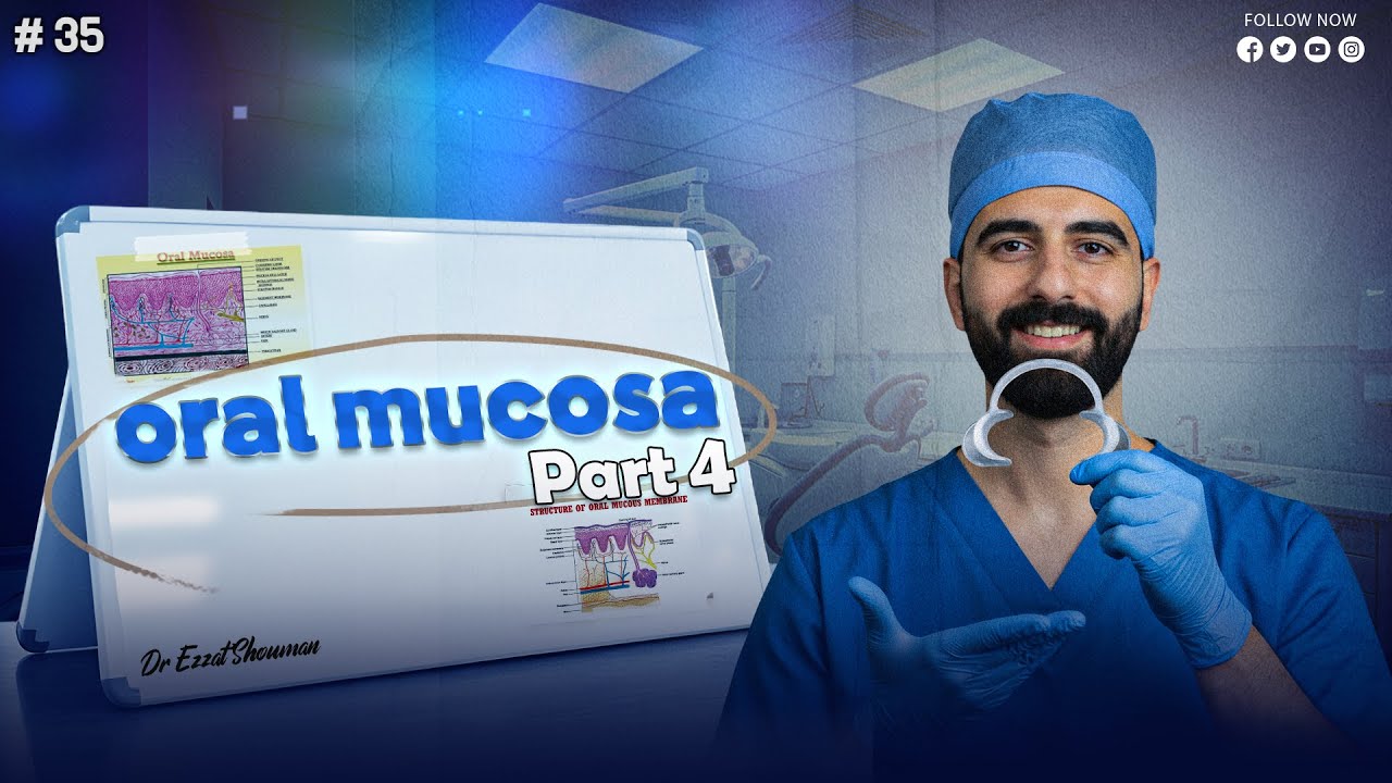 oral mucosa 4 _ oral histology || عزت شومان