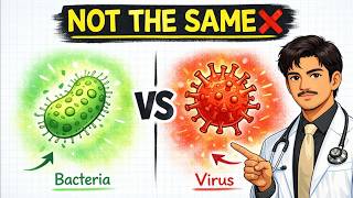 Antibiotics vs Antivirals - What's the Difference?